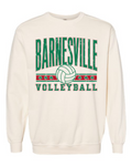 Comfort Colors Crewneck