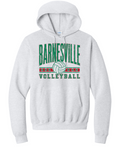 Port & Co Hooded Sweatshirt