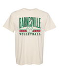 Comfort Colors Adult T- A