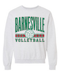 Port & Co Crewneck Sweatshirt- A