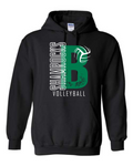 Port & Co Hooded Sweatshirt- B
